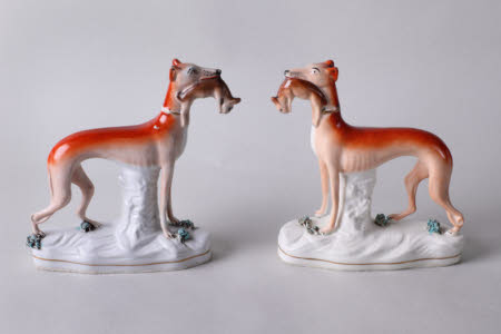 Greyhound