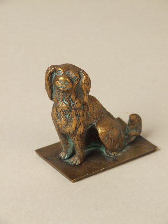 King charles spaniel