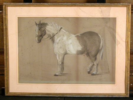 A Carthorse