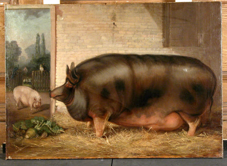 Calke Abbey © National Trust / David Midgelow