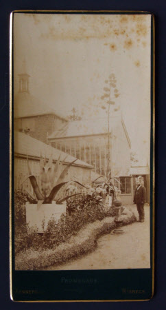 Garden at Sibald's Holme, Wisbech