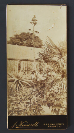 Garden at Sibald's Holme, Wisbech