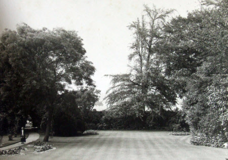 The garden at the rear of Bank House