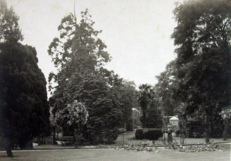 Garden with glass houses