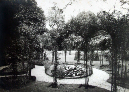 Rose garden with trellis arches