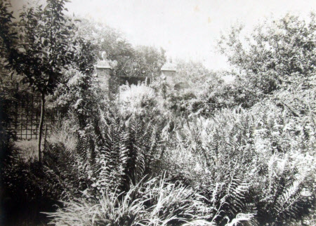 View of a Fernery
