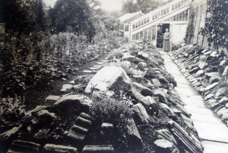 View of a Rockery