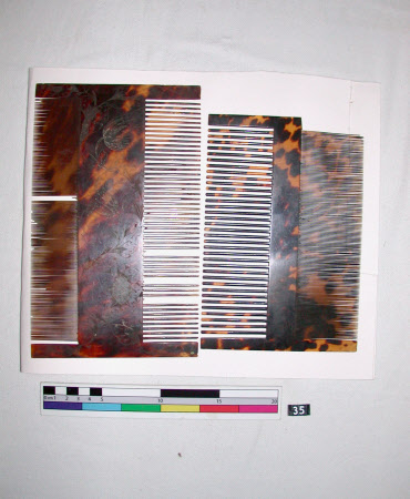 Wallington © National Trust / Susan McCormack