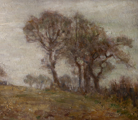 Trees in Winter