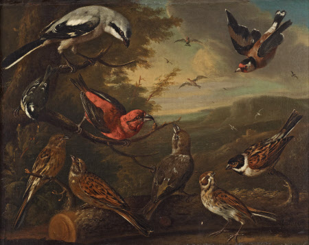 British Birds: Great Grey Shrike; Goldfinch; Coal Tit; a Pair of Crossbills;  a Pair of ...