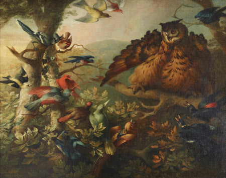 The Mobbing of a Long-eared Owl by other Birds