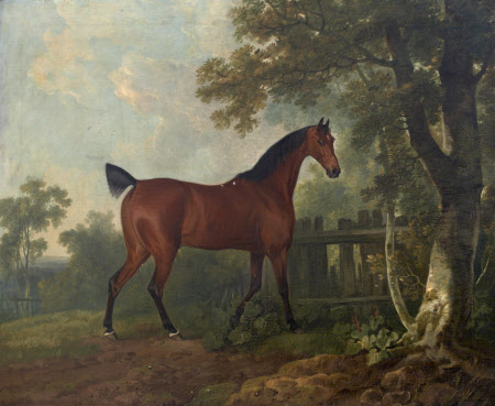 'Amaranth', the property of A. B. St Leger Esq., 1769