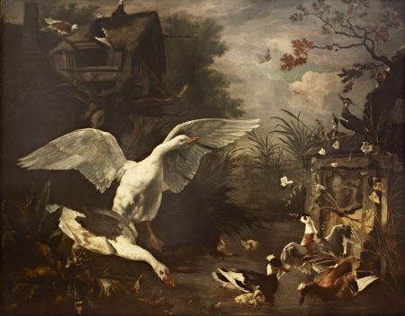 Swans and a Duck by a Stream