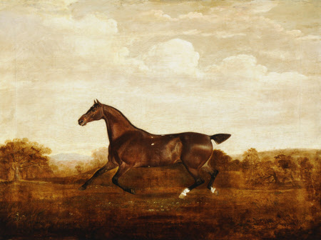 A Bay Hunter called 'Scaramouche'
