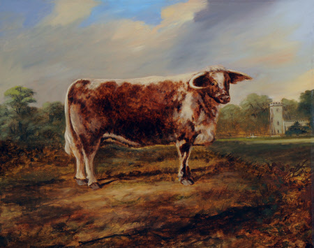 A Prize Bull in front of Calke Church 