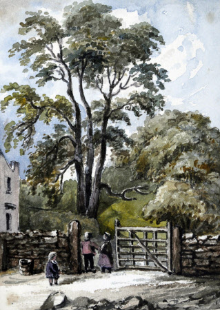 Peckover House © National Trust / Rod Corston