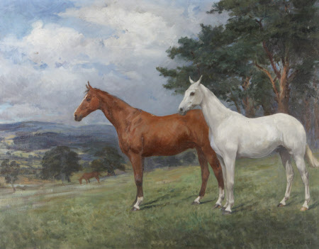 Two Horses in a Landscape: a Chestnut and a Grey Hunter