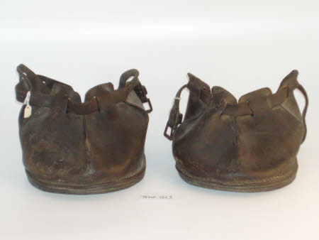 Hoof guard