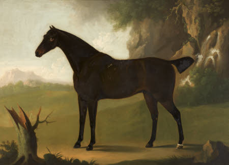 A Bay Hunter