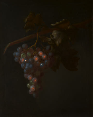 A Bunch of Grapes