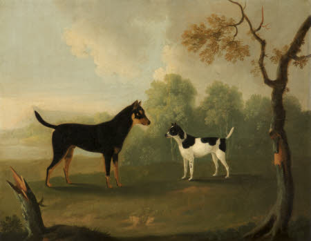 Dunham Massey © National Trust