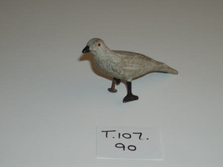 Noah's Ark bird