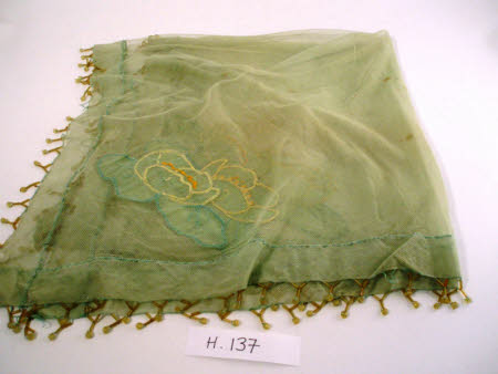 Food cover