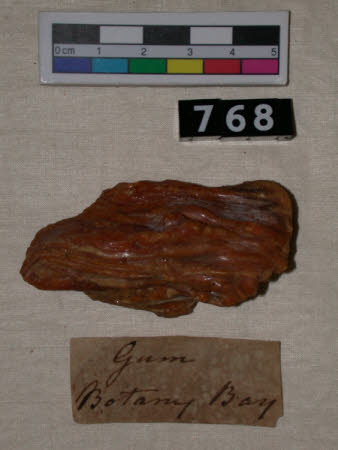Gum