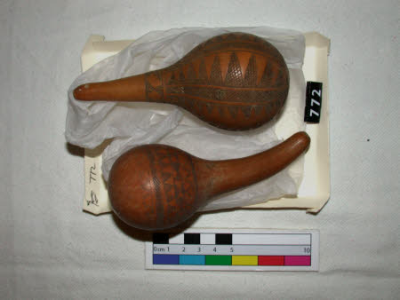 Gourd 584119 | National Trust Collections