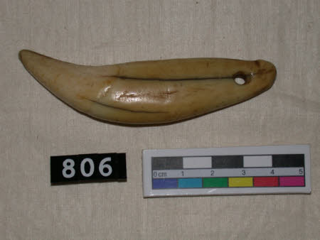 Tooth