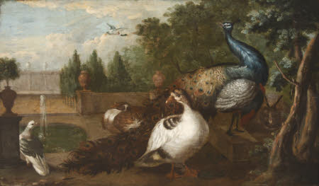Peacocks with Duck, a Rabbit and other Fowl in an Ornamental Garden