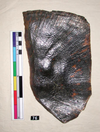 Shell