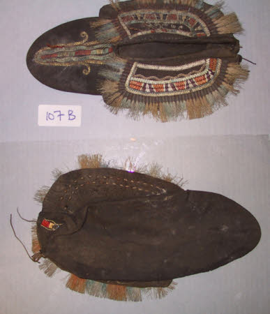 Moccasin