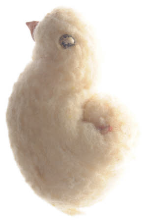 Toy chicken