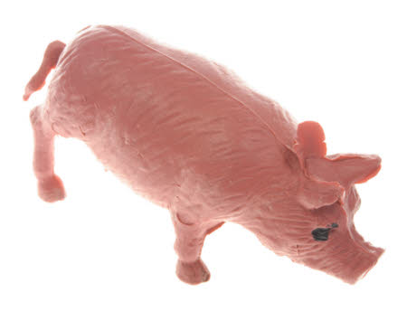 Toy pig