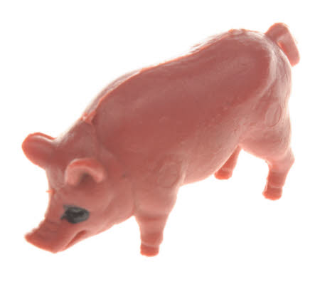 Toy pig