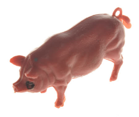 Toy pig