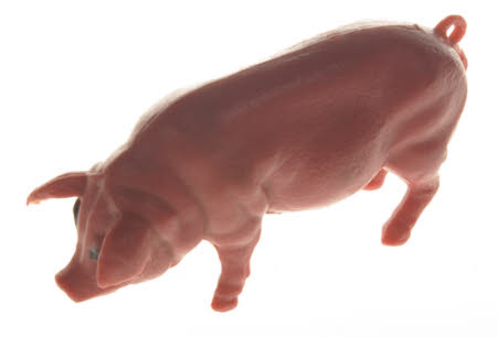 Toy pig