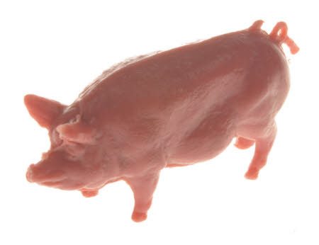 Toy pig