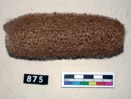 Loofah