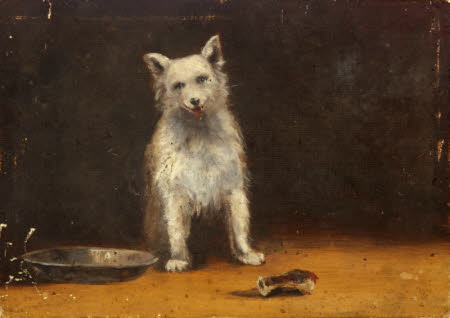 A White Dog