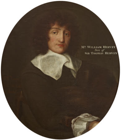 William Hervey (1619-1642)