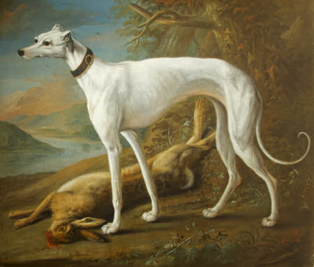 A White Greyhound standing over a Dead Hare