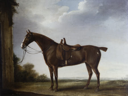 A Chestnut Hunter saddled for a Lady