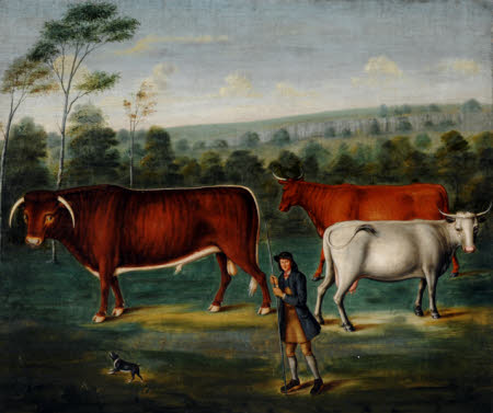Sizergh  © National Trust
