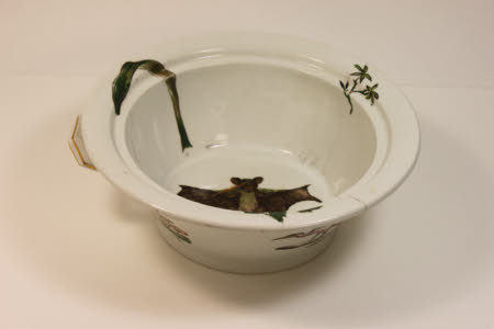 Sponge bowl