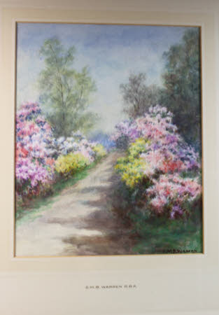 A Path between Borders of Azaleas and Rhododendrons