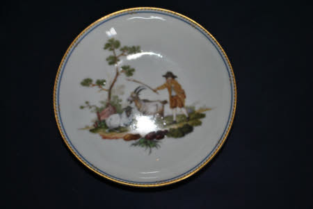 Saucer