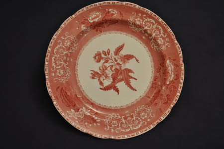 Dinner plate