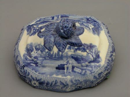 Dish cover